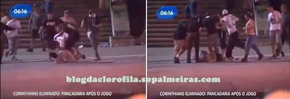 GambáEliminado-briga-BlogClorofila