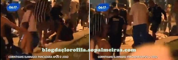 GambáEliminado-briga-BlogClorofila1