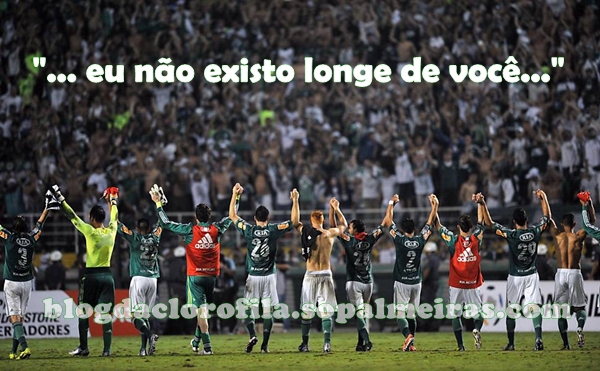Torcida-Libertad2